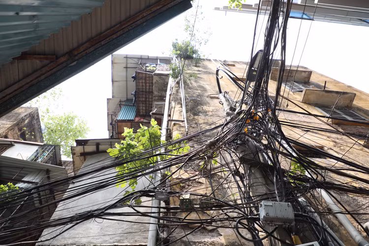 Can canh khu tap the cu o Ha Noi xuong cap, cay moc tren tuong-Hinh-11