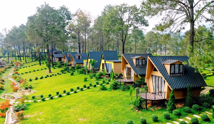 Vỡ mộng homestay vùng ven, giới nhà giàu Hà Nội cắt lỗ Vo mong homestay vung ven, gioi nha giau Ha Noi cat lo