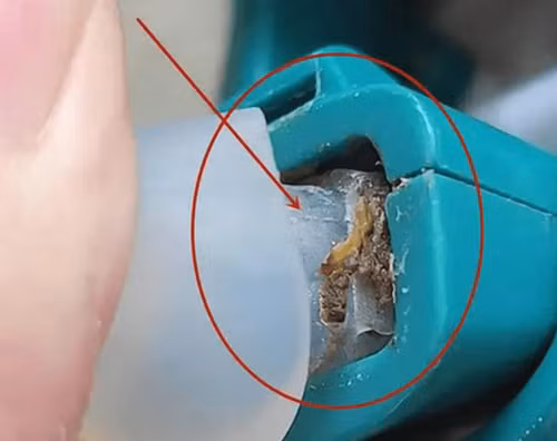 Trẻ mang bình giữ nhiệt đi học nhất định phải cẩn trọng điều này - Hình 8