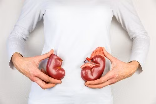 Giật mình 9 nhóm người dễ suy thận, số 5 bất ngờ nhất - Hình 5