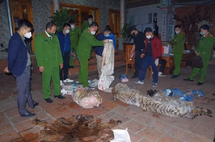 Chu tich xa linh an 3 nam tu giam vi nau cao ho