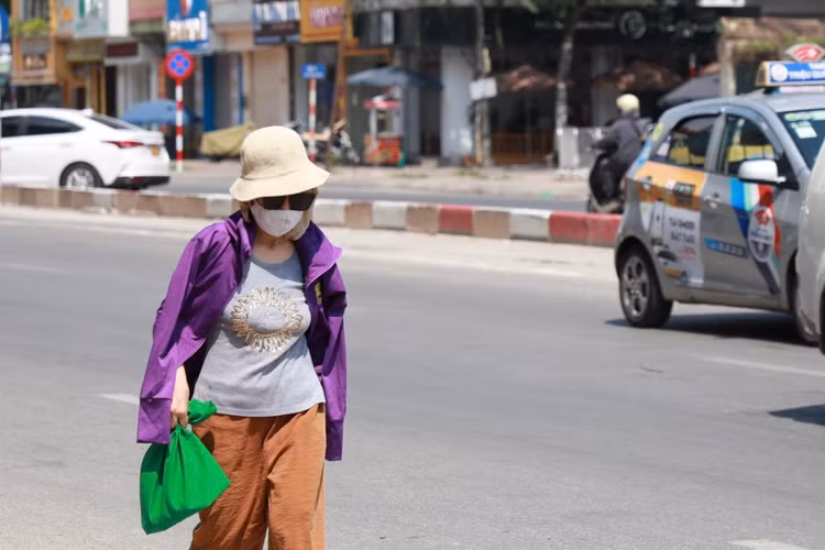 Can canh con duong khong bong cay, nong nhat Thu do-Hinh-6