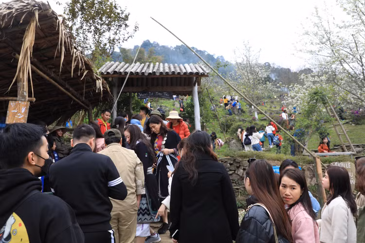 Hang nghin nguoi no nuc check-in tuyen duong hoa le dai nhat Viet Nam-Hinh-2