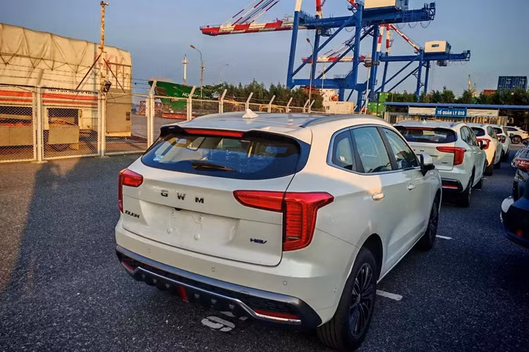Haval Jolion bằng xương bằng thịt về Việt Nam, giá dưới 700 triệu? - Hình 12 Haval Jolion bang xuong bang thit ve Viet Nam, gia duoi 700 trieu?-Hinh-12