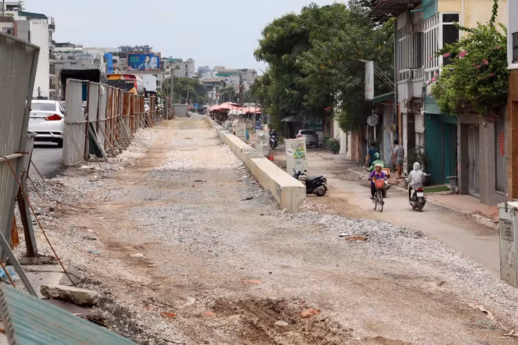 Ha Noi: Da vao mua mua lu, de huu Hong van cham tien do-Hinh-12