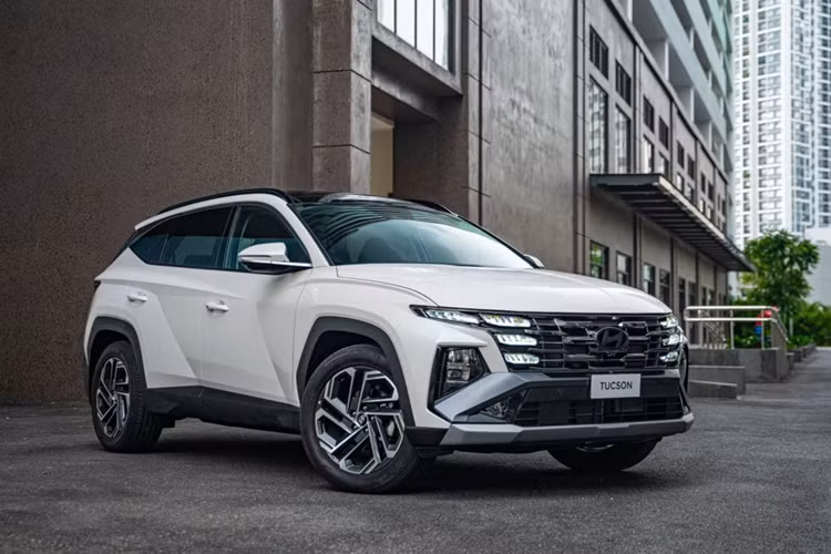 Hyundai Việt Nam đạt doanh số 67.168 xe trong năm 2024 - Hình 2 Hyundai Viet Nam dat doanh so 67.168 xe trong nam 2024-Hinh-2