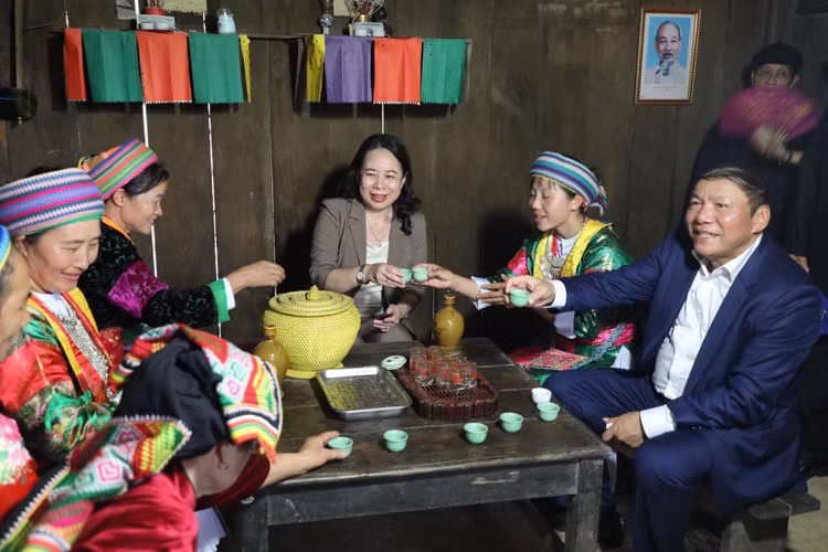Quyen Chu tich nuoc Vo Thi Anh Xuan du “Ngay hoi Sac xuan tren moi mien To quoc“-Hinh-11