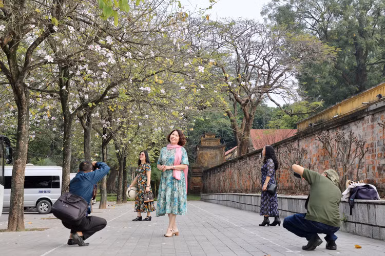 Hoa ban no ro, giua long Thu do ma ngo nhu rung Tay Bac-Hinh-9