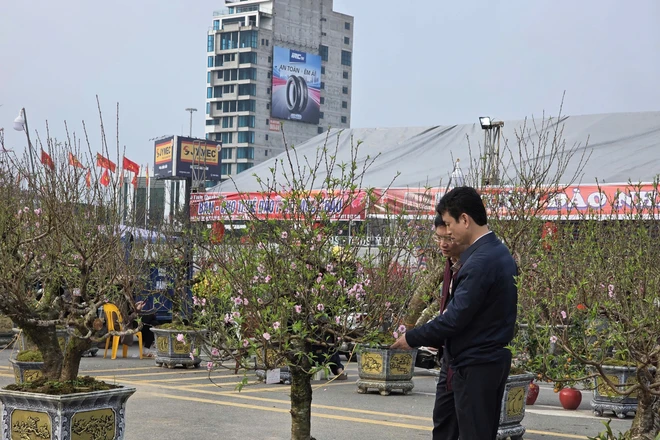 Chợ Tết Thanh niên Phú Thọ nhộn nhịp trở lại sau mưa rét