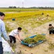Sạt lở, ngập úng diện rộng ở Phú Thọ sau đợt mưa lớn kéo dài