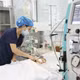 Bé trai 15 tháng tuổi nguy kịch vì bị ong vò vẽ đốt khoảng 60 nốt trên người