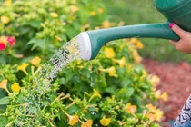 Gia đình nên tiết kiệm điện, nước như thế nào?