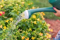 Gia đình nên tiết kiệm điện, nước như thế nào?