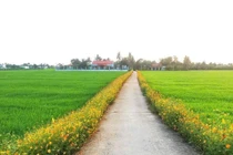 Sống chậm - bí quyết cho tâm hồn bình yên