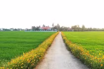 Sống chậm - bí quyết cho tâm hồn bình yên