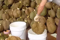 Hiểm họa tiềm ẩn từ hoa quả ngâm hóa chất 