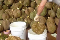 Hiểm họa tiềm ẩn từ hoa quả ngâm hóa chất 