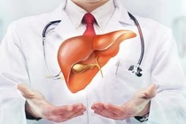 Bí quyết giữ gan khỏe từ những thói quen đơn giản