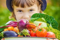 Cho con ăn chay sớm, nên hay không?