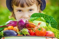 Cho con ăn chay sớm, nên hay không?