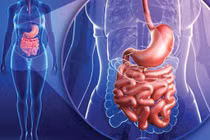 Dấu hiệu hội chứng ruột rò rỉ, cách phòng ngừa