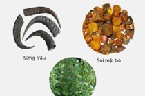 Thực hư công dụng của thuốc phòng đột quỵ