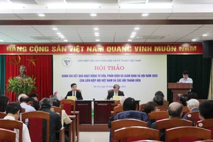 Phản biện khoa học cần kết hợp giữa kinh nghiệm và AI