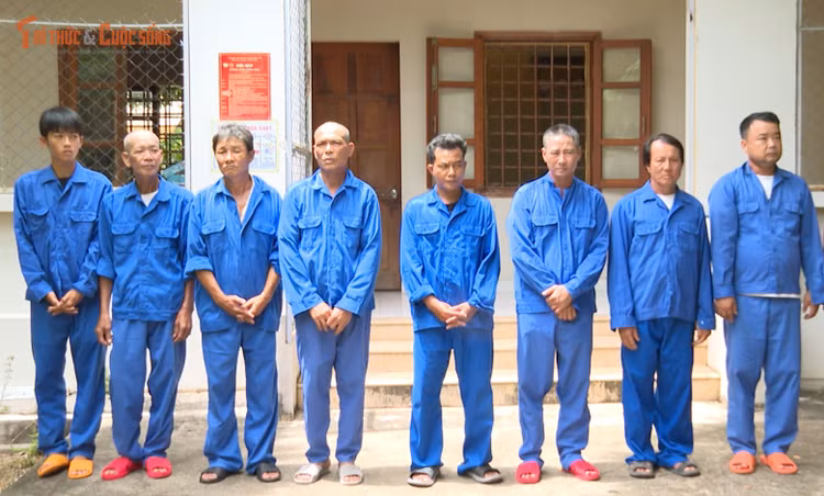 kto-tl_anh.jpg