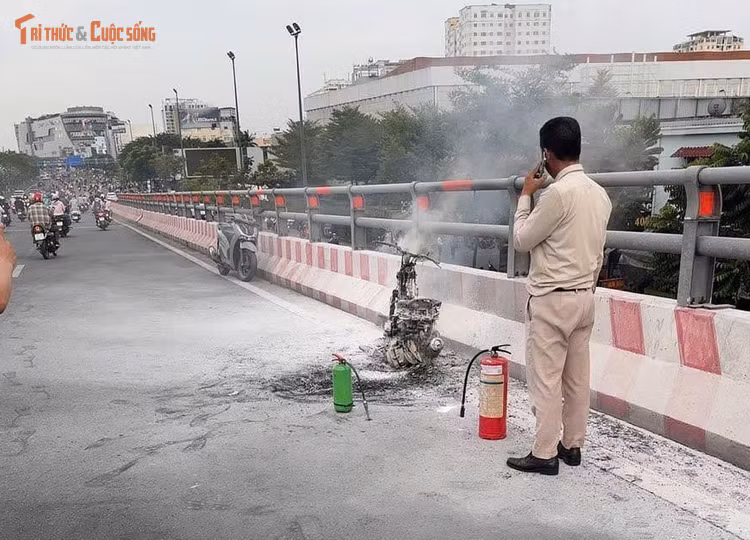 kto-tl_3.jpg