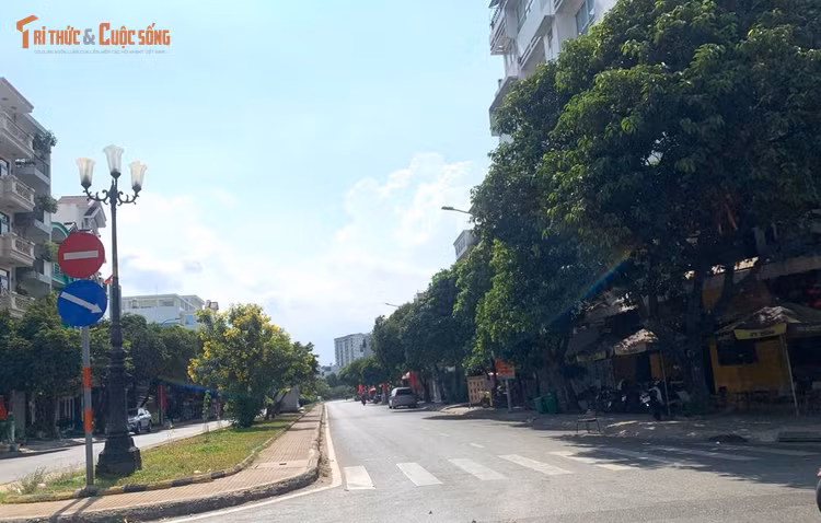 kto-tl_anh-1-5714.jpg