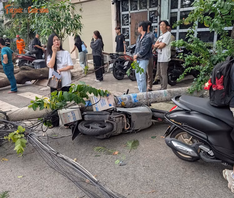 kto-tl_anh-1357.jpg