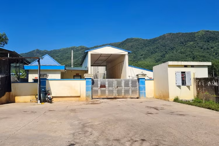 Trại chăn nuôi lợn của Công ty cổ phần Phát triển công nghệ nông thôn tại xã Long Sơn, huyện Sơn Động, Bắc Giang.