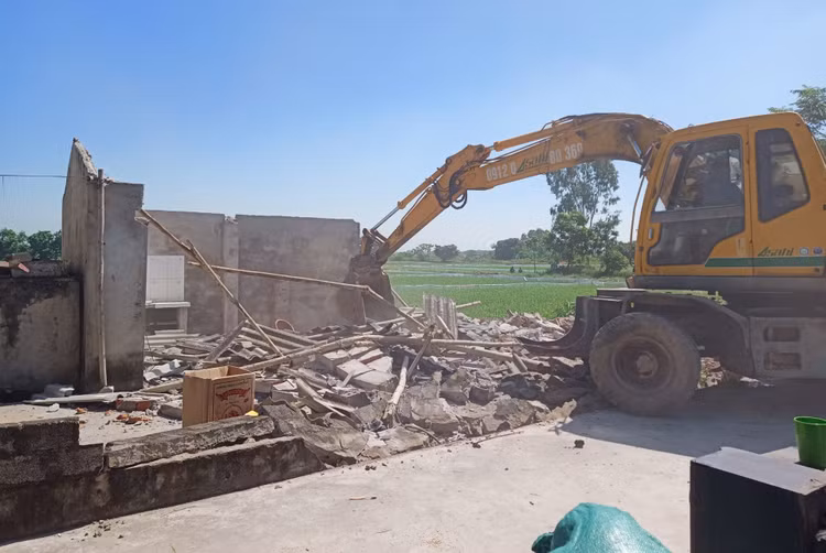 UBND thành phố sẽ thực hiện kiểm tra về nội dung trên tại các huyện như Hoài Đức, Ba Vì, Phú Xuyên, Mê Linh, Gia Lâm.