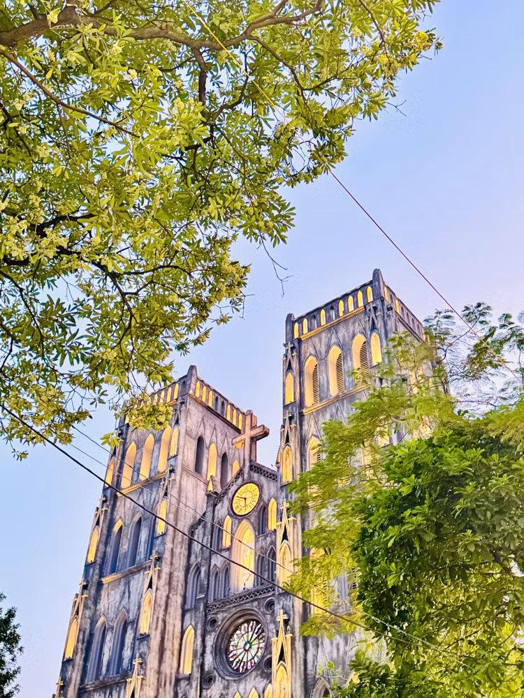 Hoa sua nong nan trong huong Thu Ha Noi-Hinh-15