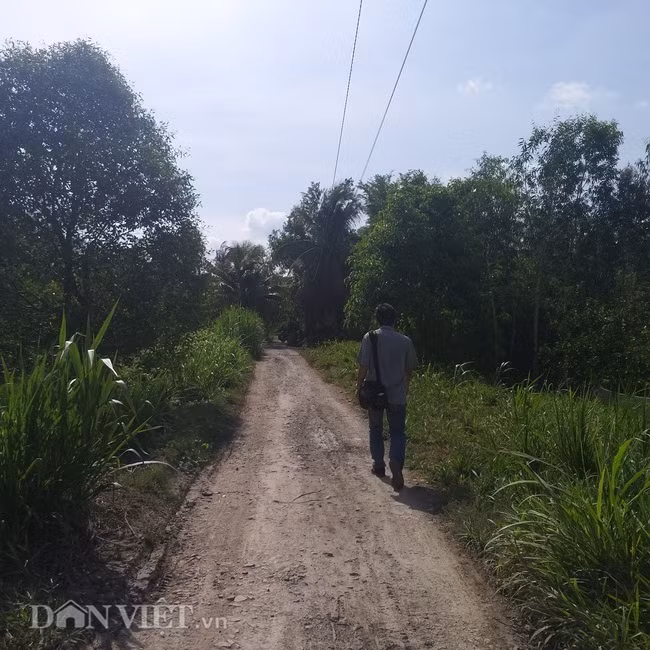 Nguyễn Mi Sol trong vụ án Hồ Duy Hải: Làm thuê quanh năm, vẫn "ga-lăng" với người yêu - Ảnh 2.