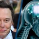 Neuralink của Elon Musk lập kỷ lục cấy chip não 1,5 giây