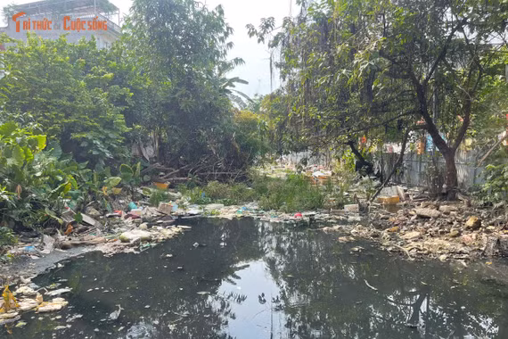 Dự án dang dở, người dân Tứ Liên mòn mỏi sống chung với nước tù, rác thải