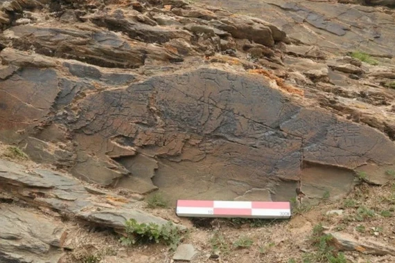 Di chỉ Dawenkou hé lộ bí ẩn về xã hội cổ đại Trung Quốc