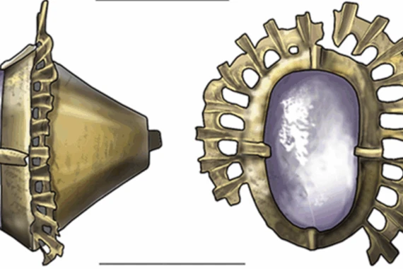 Khám phá viên ngọc quý từ thời Trung Cổ tại lâu đài Kolno