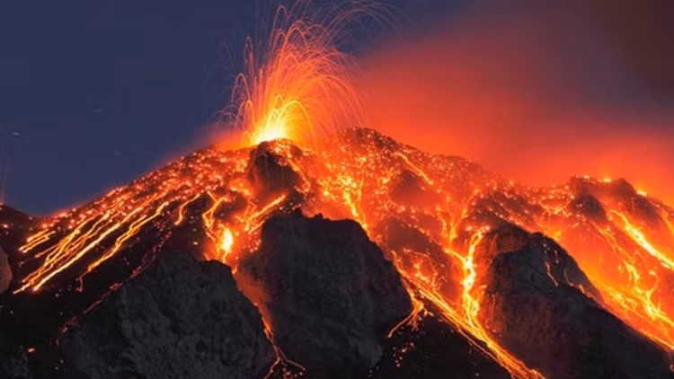 Tien tri cuc soc cua ba Vanga vao nam 2025-Hinh-4