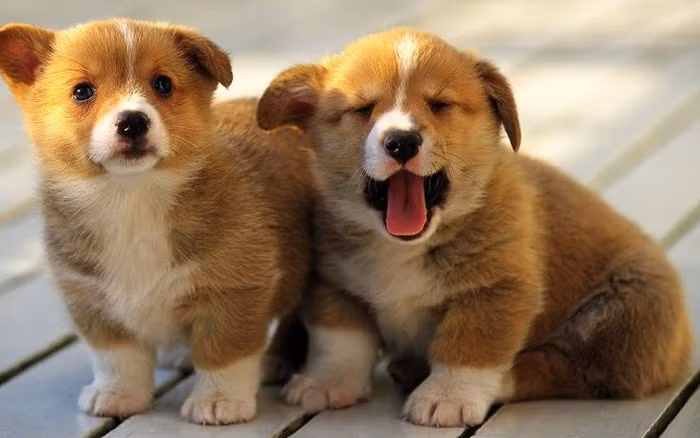 3 tháng cuối 2024: 3 tuổi là nam châm ‘hút tiền’, giàu banh nóc - Hình 14 3 thang cuoi 2024: 3 tuoi la nam cham ‘hut tien’, giau banh noc-Hinh-14