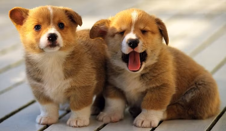 Tu 15-31/10: 3 tuoi may man tot bac, loc phu day nha-Hinh-11