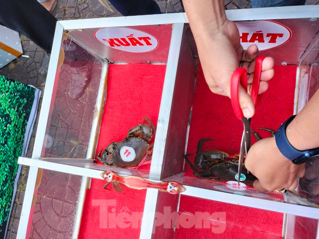 Doc la cuoc thi dua cua toc do o Ca Mau-Hinh-5