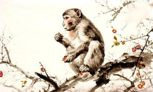 tử vi tuổi Thân - Ngôi Sao