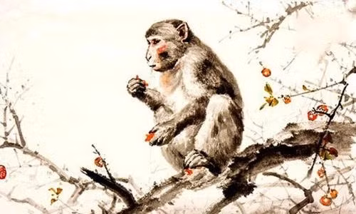 tử vi tuổi Thân - Ngôi Sao