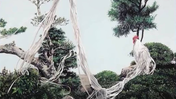 Loai ga sieu quy hiem duoi dai den 10m, Viet Nam dang nuoi nhieu