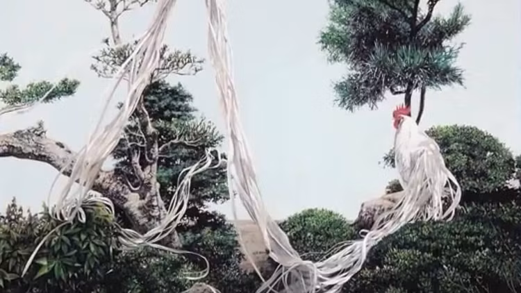 Loai ga sieu quy hiem duoi dai den 10m, Viet Nam dang nuoi nhieu