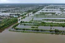 Cà Mau: Đầu tư xây 7 cống ngăn mặn, chống ngập vùng sản xuất nông nghiệp