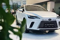 Cận cảnh Lexus RX 350h 2025 chào bán từ 3,5 tỷ đồng