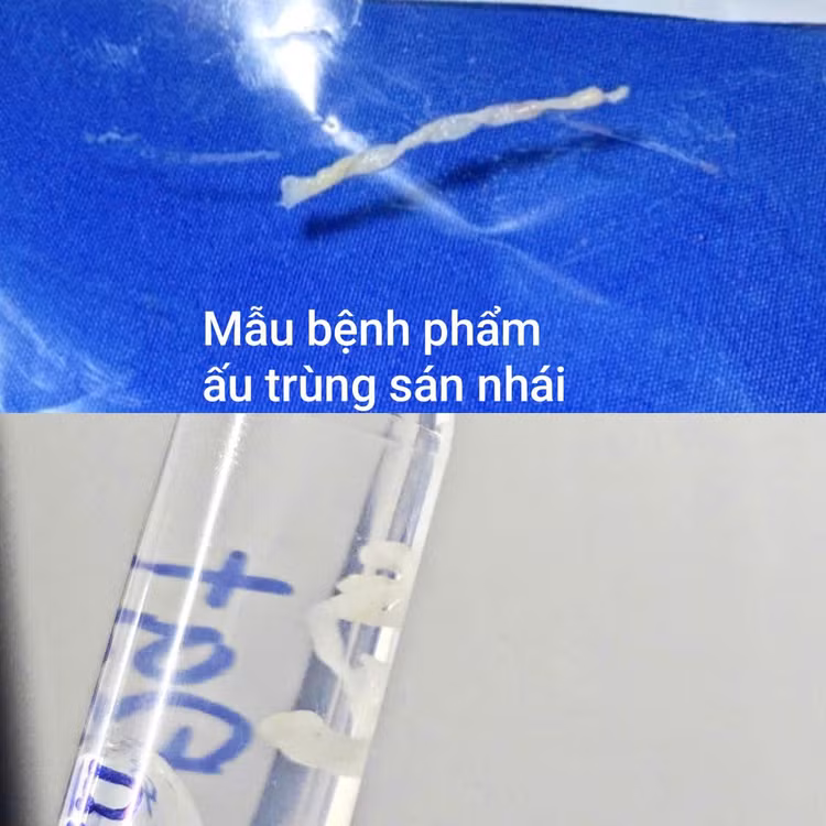san-nhai-2.jpg